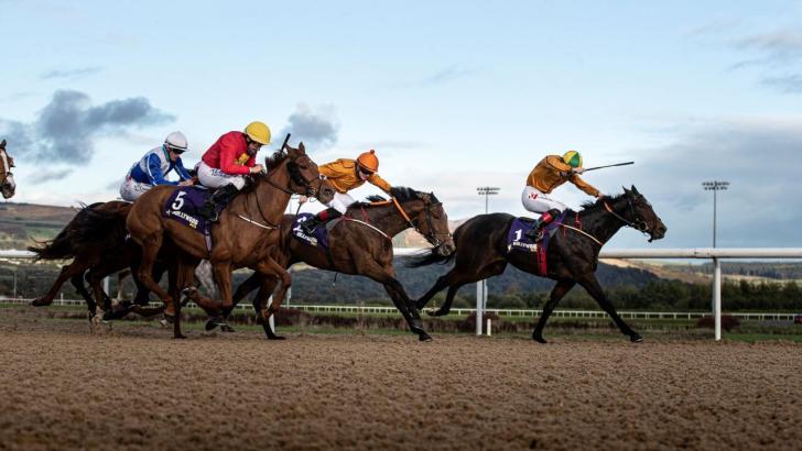 Horse racing at Dundalk